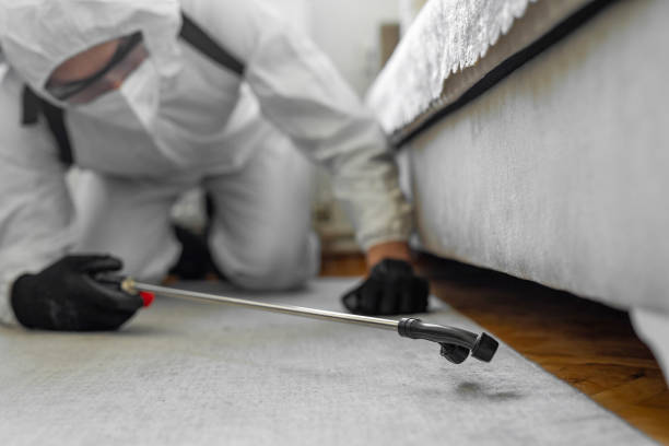 Professional Termite Control technician working in East Oakdale, CA