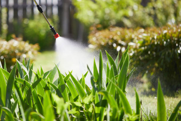 24/7 Emergency Termite Control experts in East Oakdale, CA