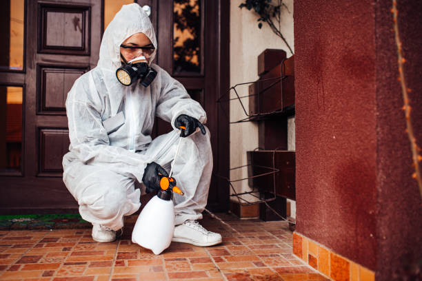 Reliable Termite Control contractor in East Oakdale, CA by Nex Pest Control