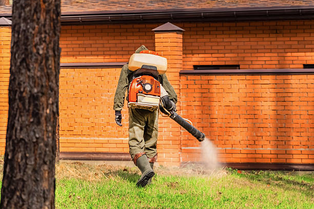 Trusted Ant Control service in East Oakdale, CA - Nex Pest Control